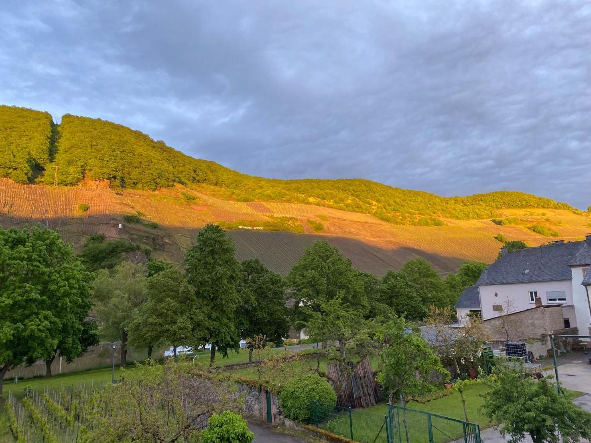 Luiza Fewo Trittenheim Exterior photo